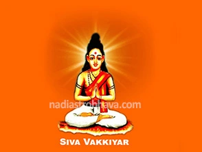 Nadi Astrology Heritage