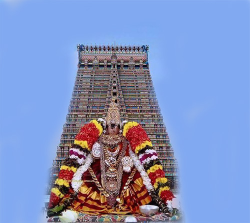 nadi astro bhava .jpg 