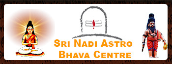 nadi astro bhava logo